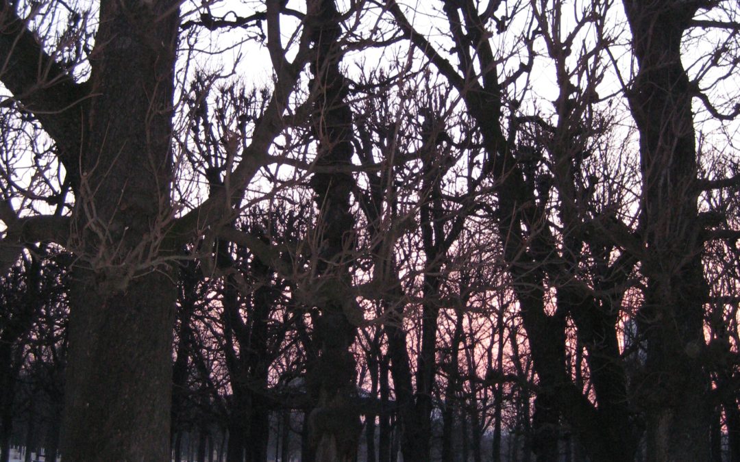 Sobrevivir a la propia obra. El caso Green