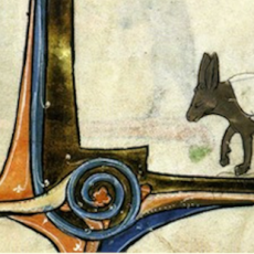 Cómo entrevistar a un sabio que no sabe que es sabio