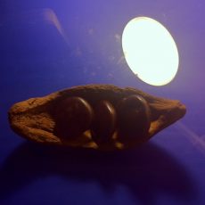 Noche de hojalata